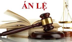 Tòa án nhân dân tối cao công bố 10 án lệ mới