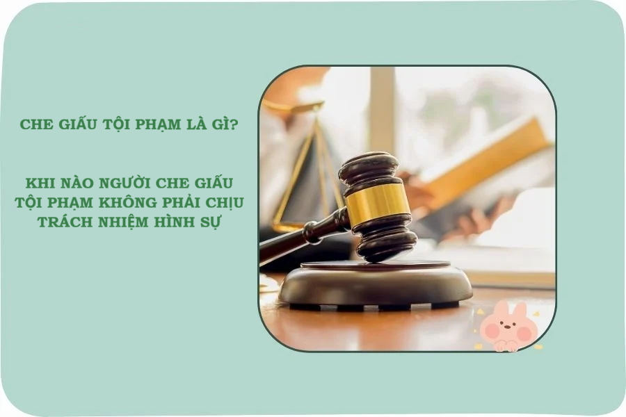 Che giấu tội phạm là gì? Khi nào người che giấu tội phạm không phải chịu trách nhiệm hình sự.